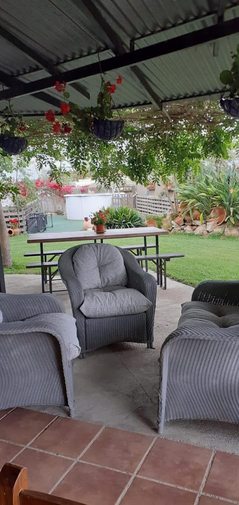 Garden, Living room, Garden view