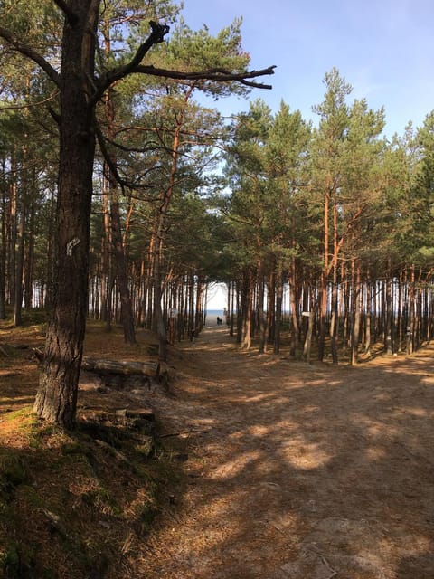 Nearby landmark, Day, Natural landscape