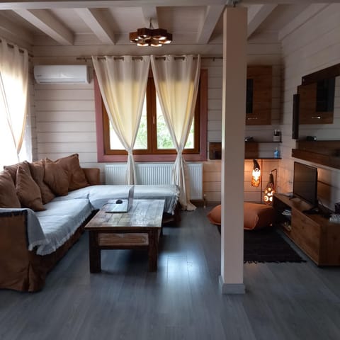 TV and multimedia, Living room