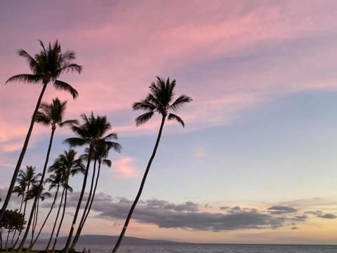 Beach, Sunset