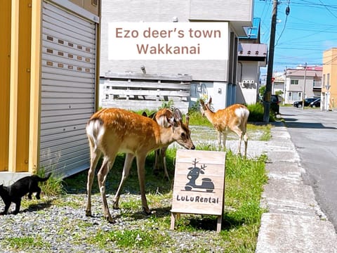 Property building, Day, Property logo or sign, Animals, Street view, Area and facilities