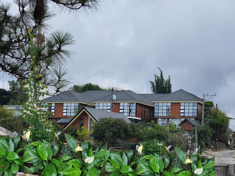 Property building, Day