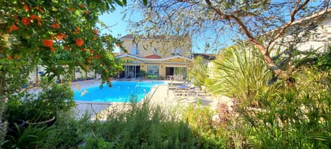 Garden, Garden view, Pool view, sunbed