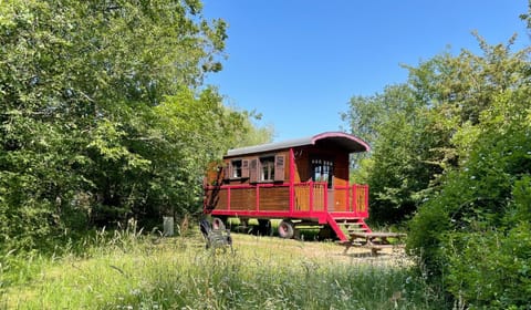 Natural landscape, Garden, Garden view