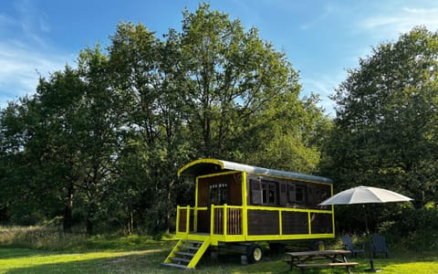 Natural landscape, Garden, Garden view