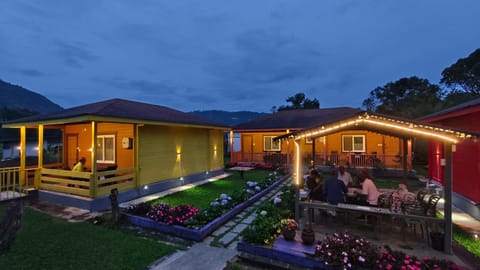 Night, Natural landscape, Garden, Garden view, Mountain view