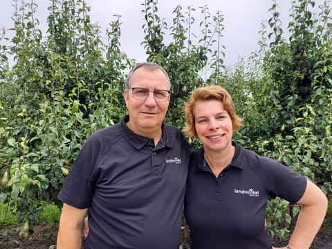 Day, People, Natural landscape, Garden, Garden view