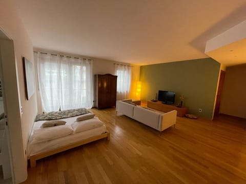 Bed, TV and multimedia, Living room