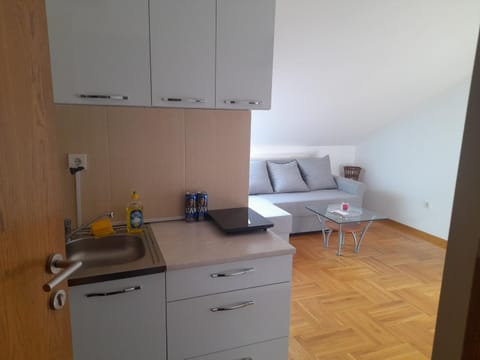 Apartman Ilic Apartment in Serbia