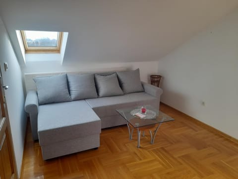 Apartman Ilic Apartment in Serbia