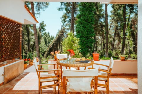 Balcony/Terrace, Garden view