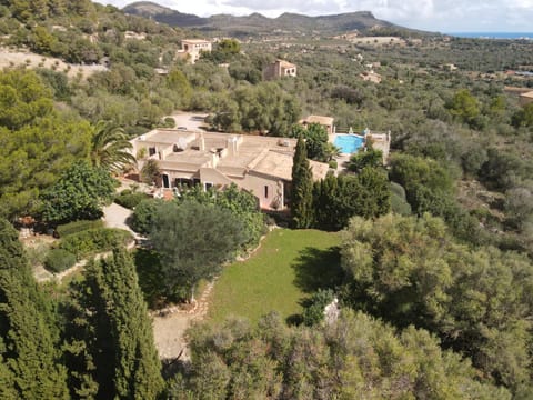 Property view