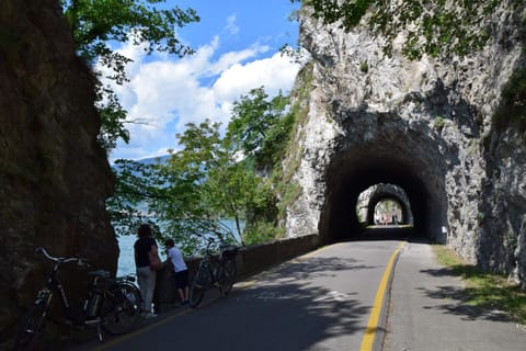 Neighbourhood, Natural landscape, Cycling