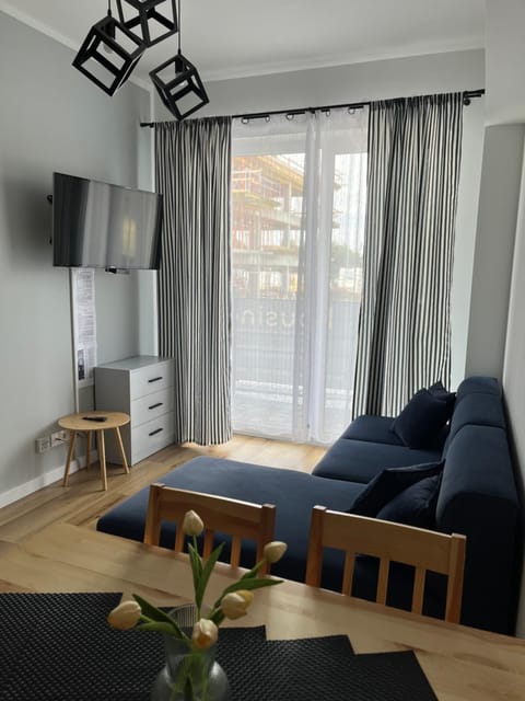 TV and multimedia, Living room, Seating area, Evening entertainment
