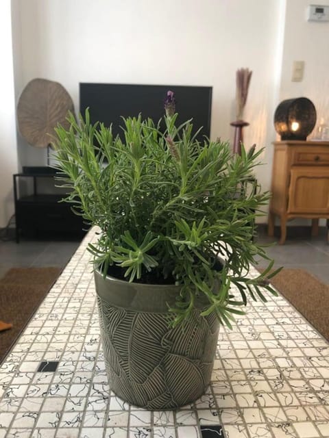 L'Escapade Urbaine - Montignies-sur-Sambre Apartment in Charleroi