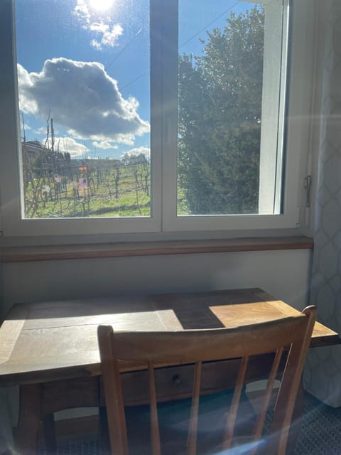 Les Rossets Vacation rental in Neuchâtel, Switzerland