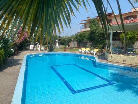 Garden, Garden view, Swimming pool