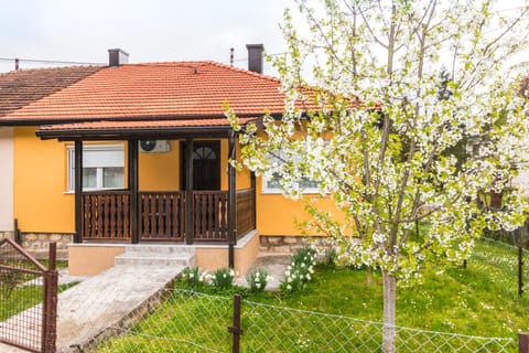 Property building, Spring, Day, Garden, Garden view
