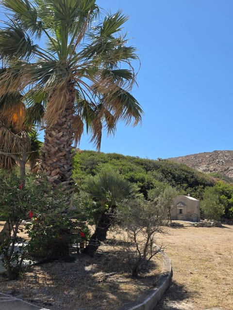 Anna's Cottage Home House in Naxos, Naxos and Lesser Cyclades, Greece