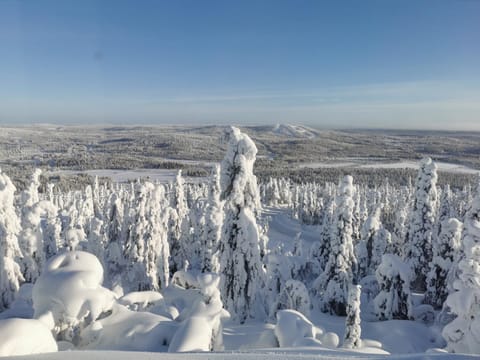 Pöllönpesä Iso-Syöte Apartment in Lapland