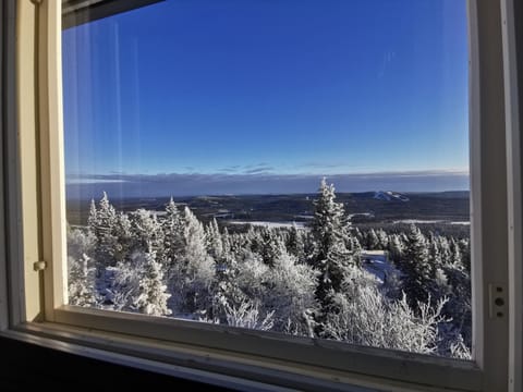 Pöllönpesä Iso-Syöte Apartment in Lapland