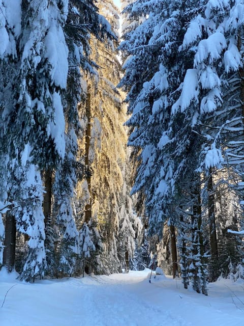 Day, Natural landscape, Winter, Hiking