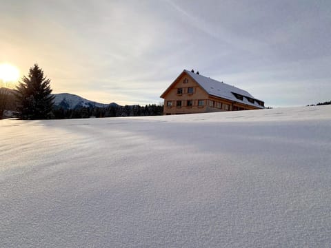 Property building, Day, Winter