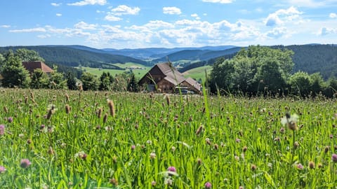 Natural landscape, Mountain view