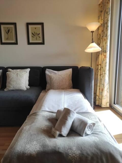 Attic Gem with Unbeatable Lake Moubra View Apartment in Crans-Montana