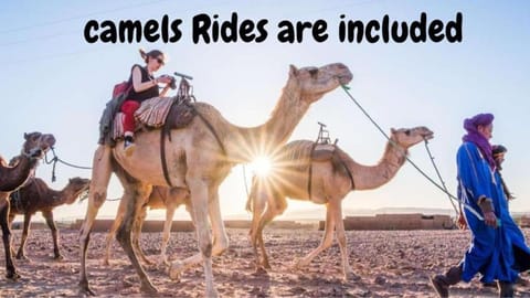 Day, People, Horse-riding, Animals, Text overlay, group of guests