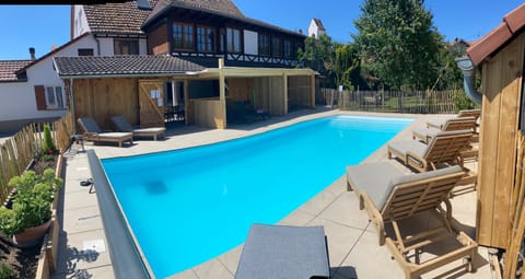 Patio, Pool view, Swimming pool, sunbed