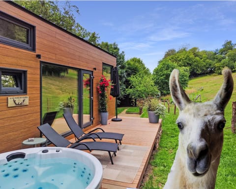 Patio, Natural landscape, Garden, Animals, Garden view, sunbed
