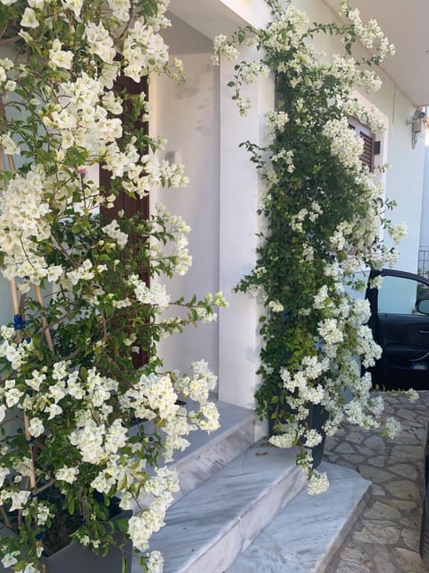 Zoe’s sea view Apartment in Messenia