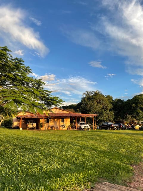 Natural landscape, Garden, Garden view, Parking