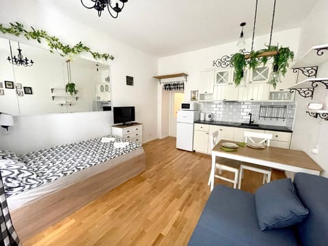 Bed, Kitchen or kitchenette, Living room