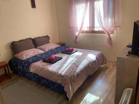 Vitez Koja House in Serbia