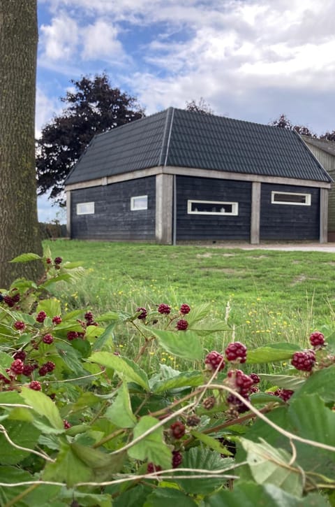 Property building, Natural landscape, Garden view