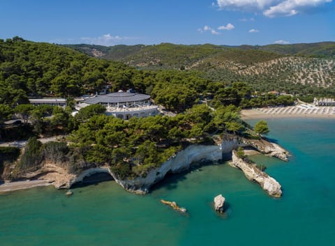 Property building, Bird's eye view