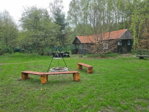 Spring, Day, Natural landscape, Garden, Garden view