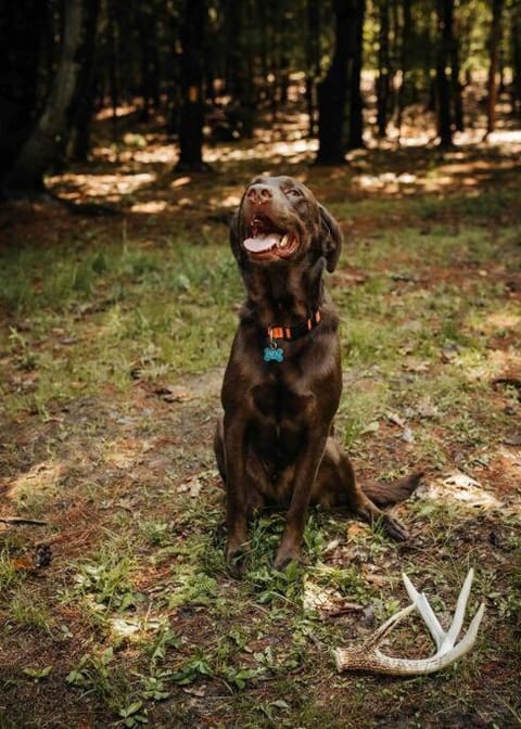 Rustic Ridge House in Keuka Lake
