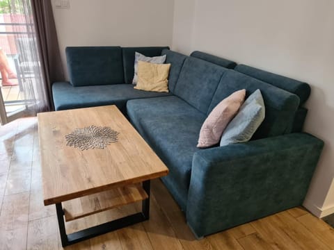 Apartament w sosnowym lesie Apartment in West Pomeranian Voivodeship, Poland