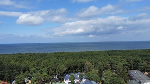 Apartament w sosnowym lesie Apartment in West Pomeranian Voivodeship, Poland