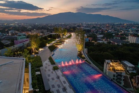 Garden, Swimming pool