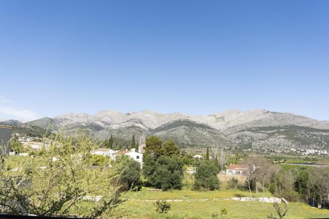 Other, Mountain view