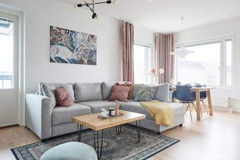 Rauhallinen kolmio omalla saunalla Tampereen keskustassa Apartment in Finland