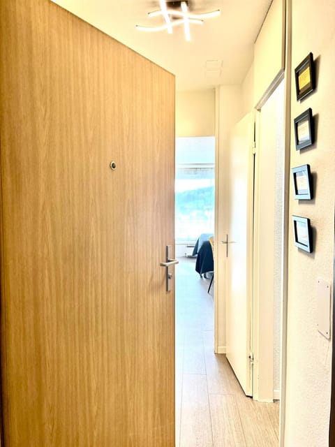 Little Penthouse **** Apartment in Canton of Zurich