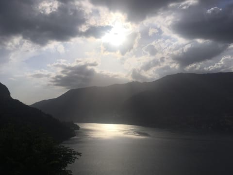 Lake view