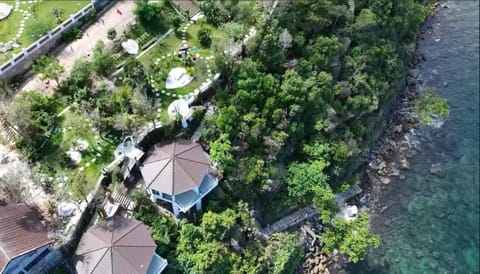 Natural landscape, Bird's eye view