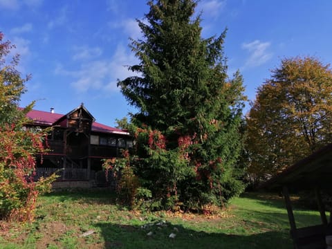 Property building, Natural landscape, Garden