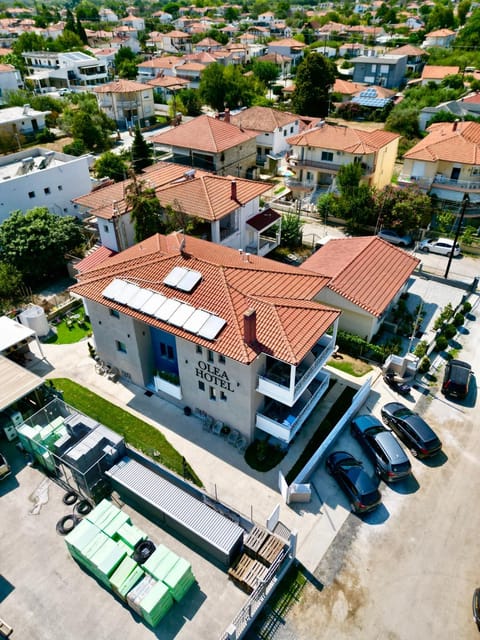Bird's eye view, Location